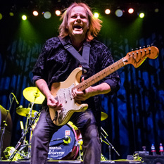 Walter Trout