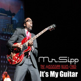 It's My Guitar